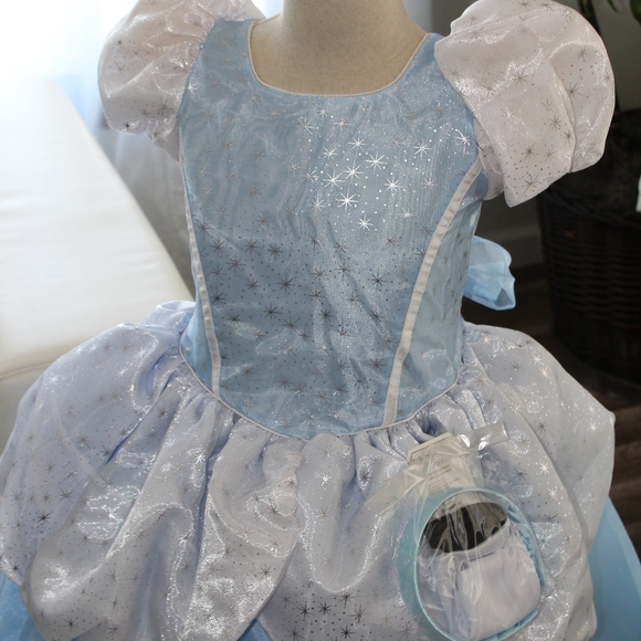 CINDERELLA COSTUME - Picture 13 of 14